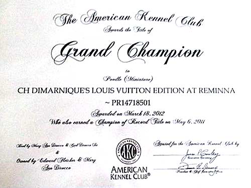 Am GCH CH/Can CH DiMarnique's Louis Vuitton Edition at Reminnas