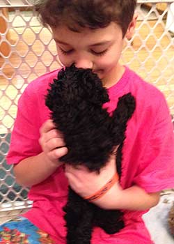 Carlo holding Gia's singleton puppy boy
